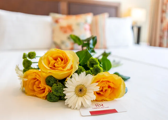 Sunset Apartman Pomorie